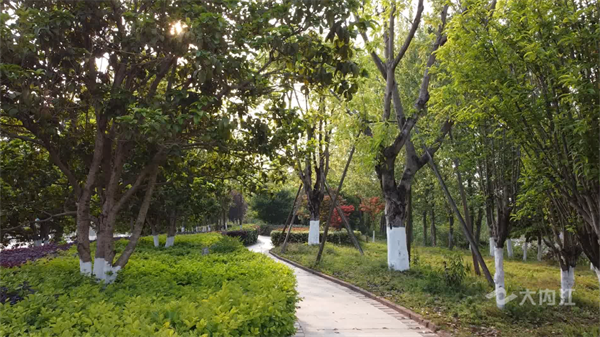 286033_1653297589576135.png 绿化3.png