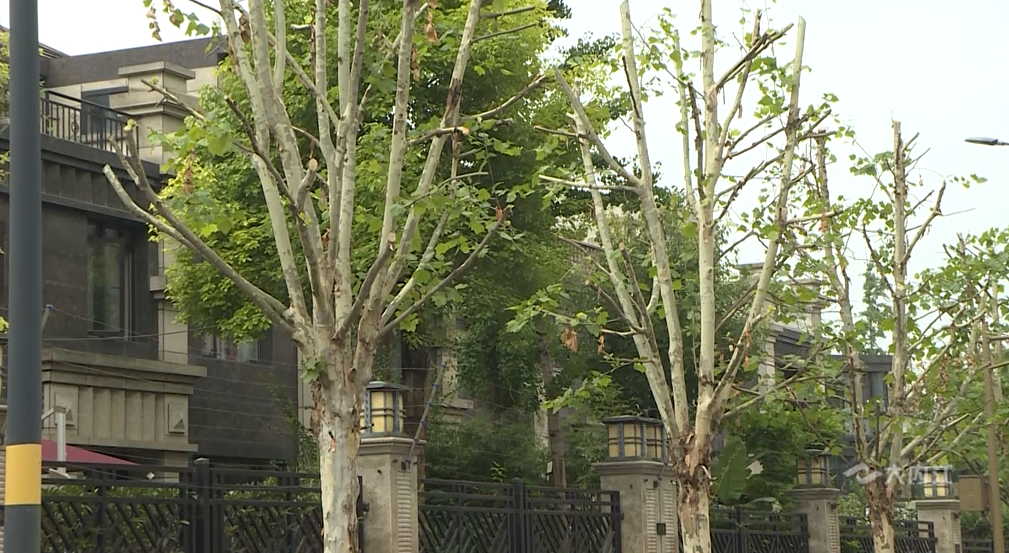 269955_1656129574405721.png 微信截图_20220625115746.png