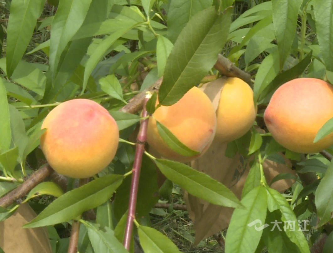 282126_1655280748560059.png 微信图片_20220615161203.png