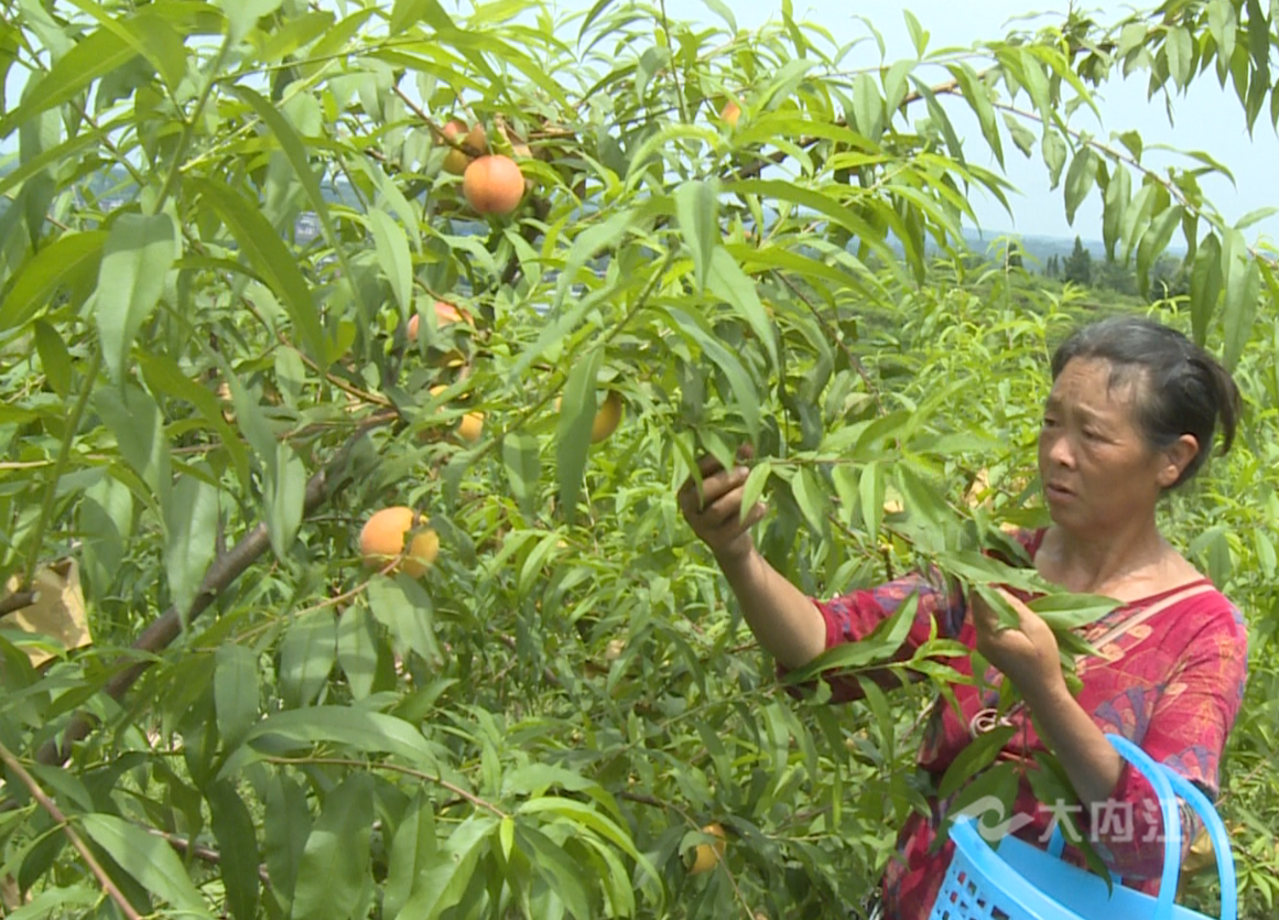 282126_1655280764133390.png 微信图片_20220615161101.png