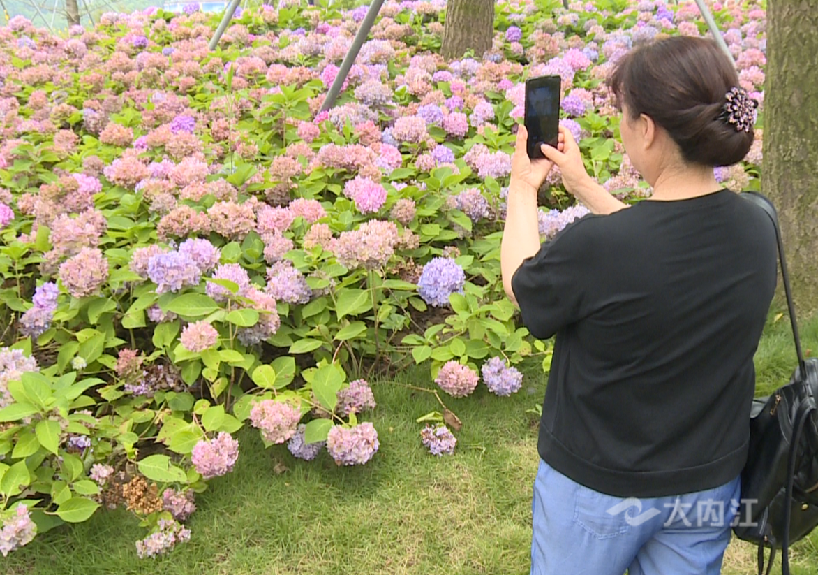 282126_1655283598661971.png 微信图片_20220615165830.png