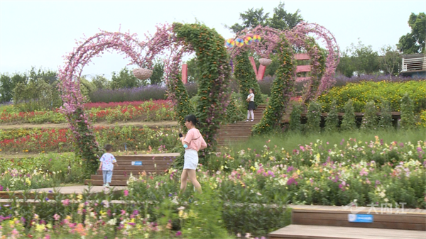 286033_1654139336201228.png 总要去内江2.png