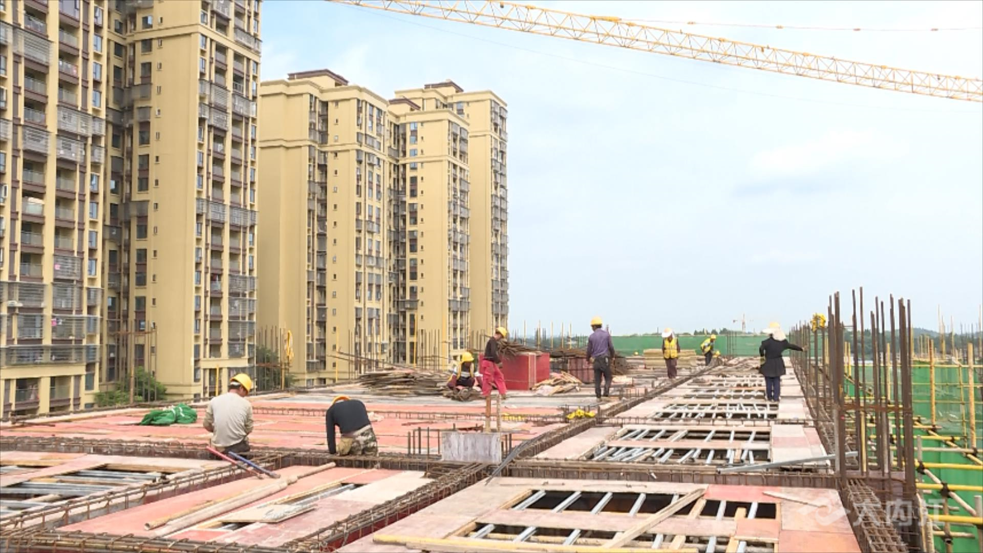 320608_1654653323739712.jpg 6.801.jpg