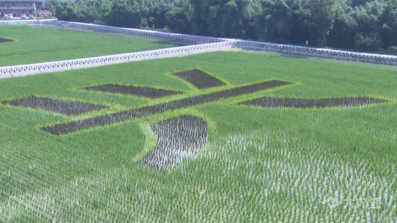 269955_1657074619190370.jpg 5d12010e341c4f409d39ba90a6927577_picturegroup_800_448_0.jpg