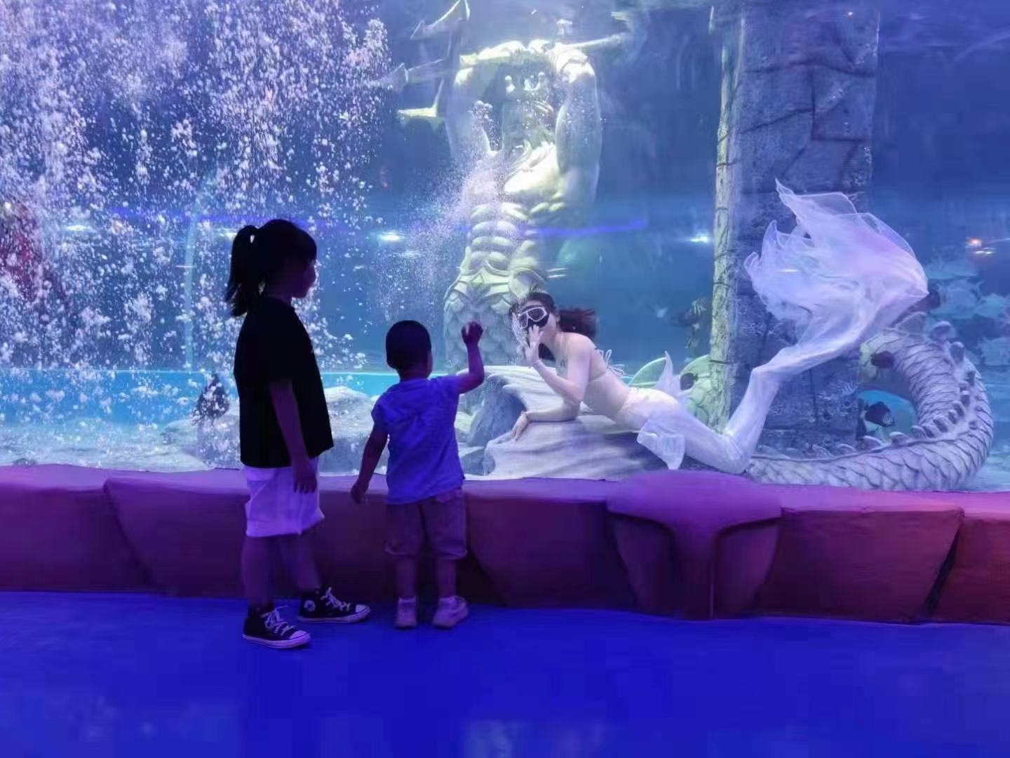 282419_1658289820627285.jpg 微信图片_20220720120305.jpg