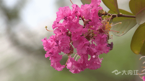 286144_1658289182941006.gif QQ图片20220720090434_副本.gif