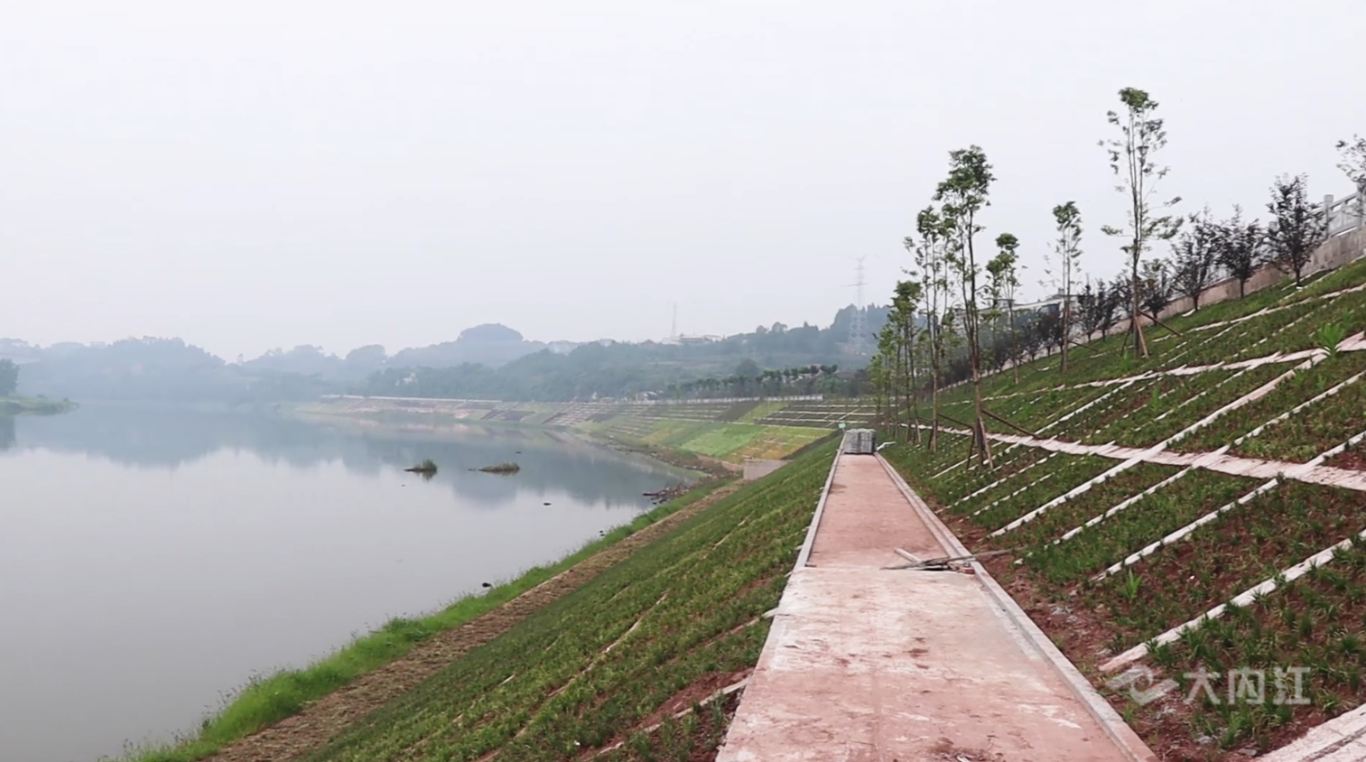 320608_1656990151453729.png dian02.png