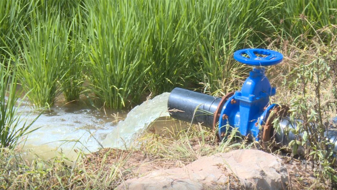 269955_1660015172143061.jpg 微信图片_202208091118432.jpg