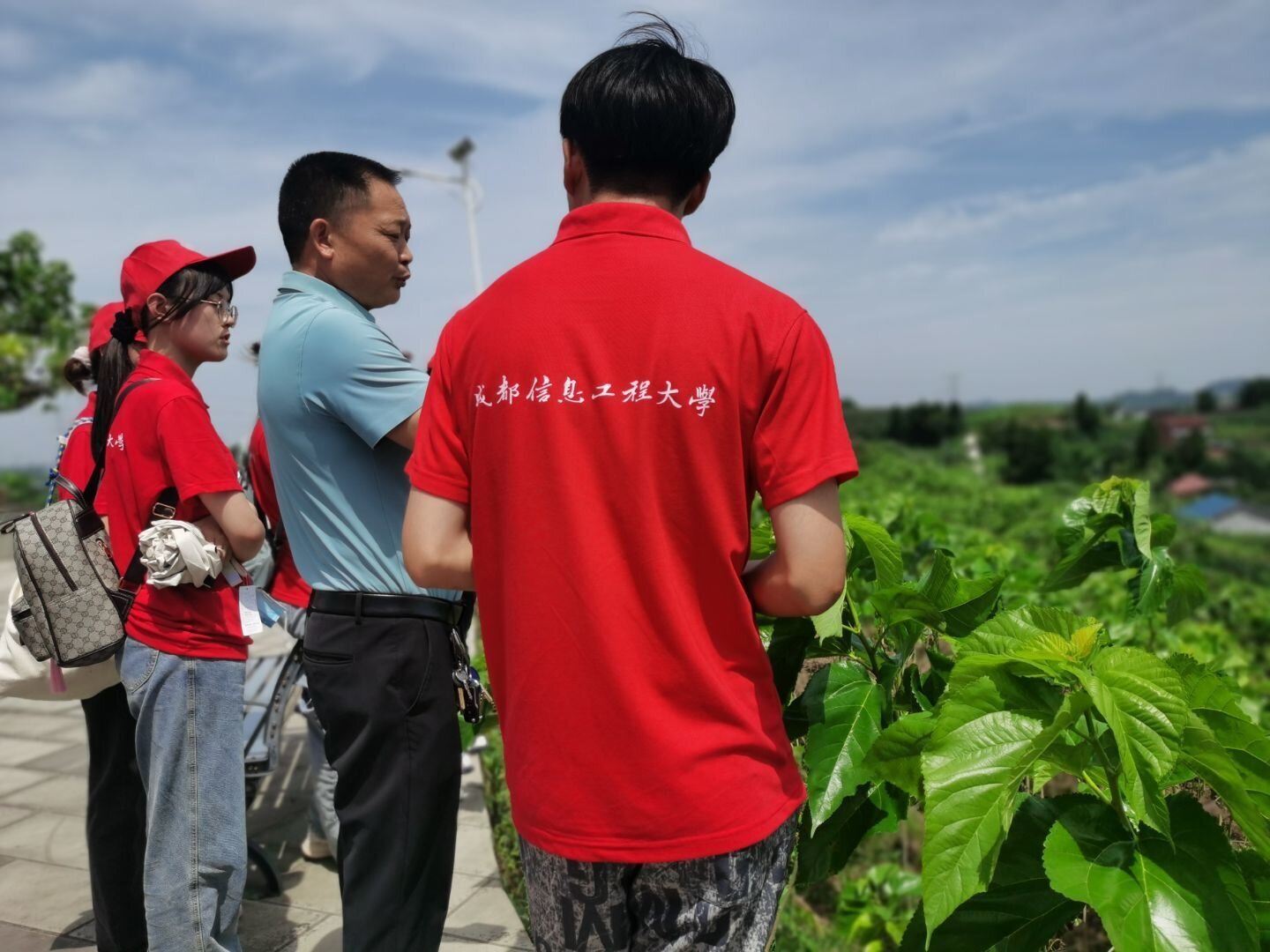 269955_1660552990694654.jpg 微信图片_202208151641554.jpg