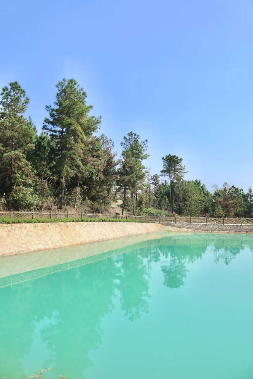 微信图片_20220318090439.jpg 图片