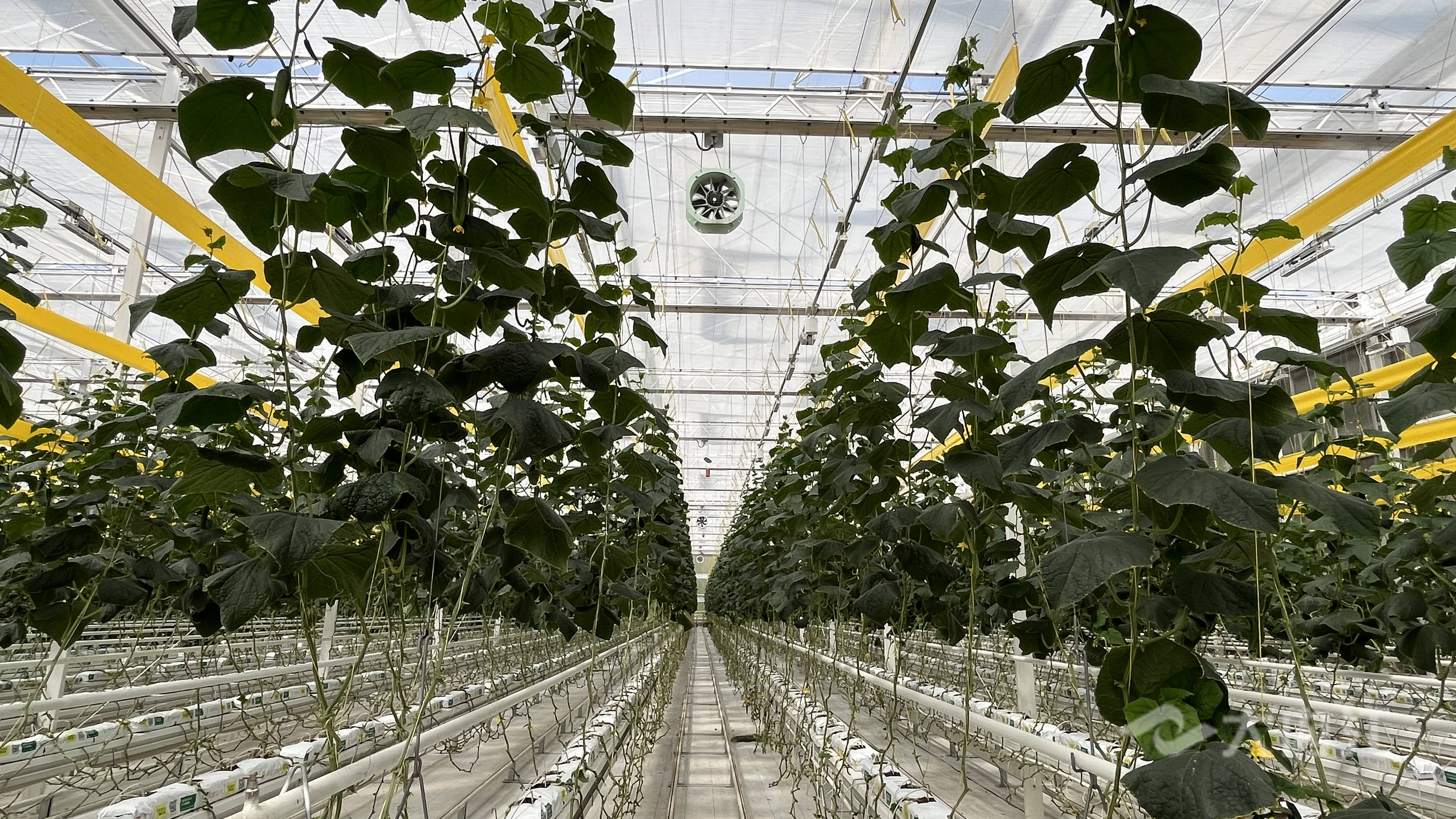 286144_1659328967699128.jpg 微信图片_20220801092636_副本_副本.jpg