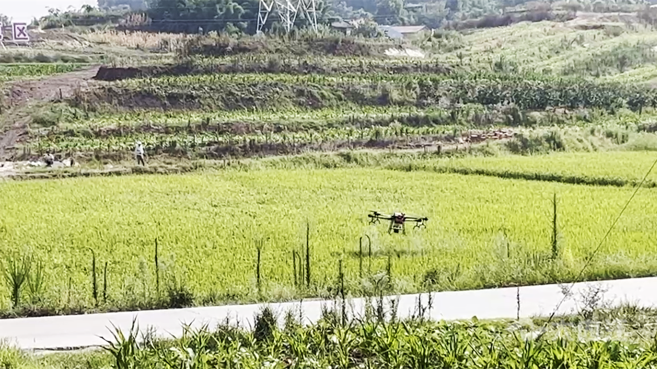 286144_1659329688390574.png 微信截图_20220801125254.png