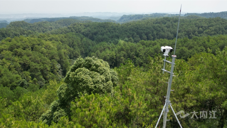 320608_1659406547774492.jpg 微信图片_20220802101428.jpg