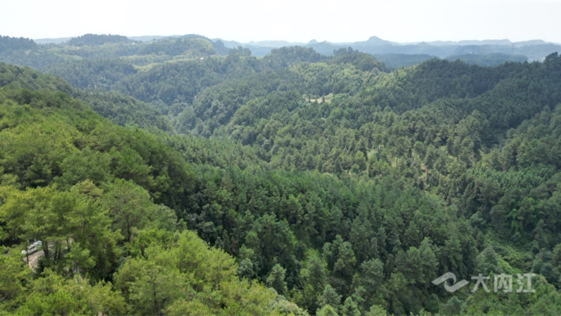 320608_1659406574727741.jpg 微信图片_20220802101435.jpg