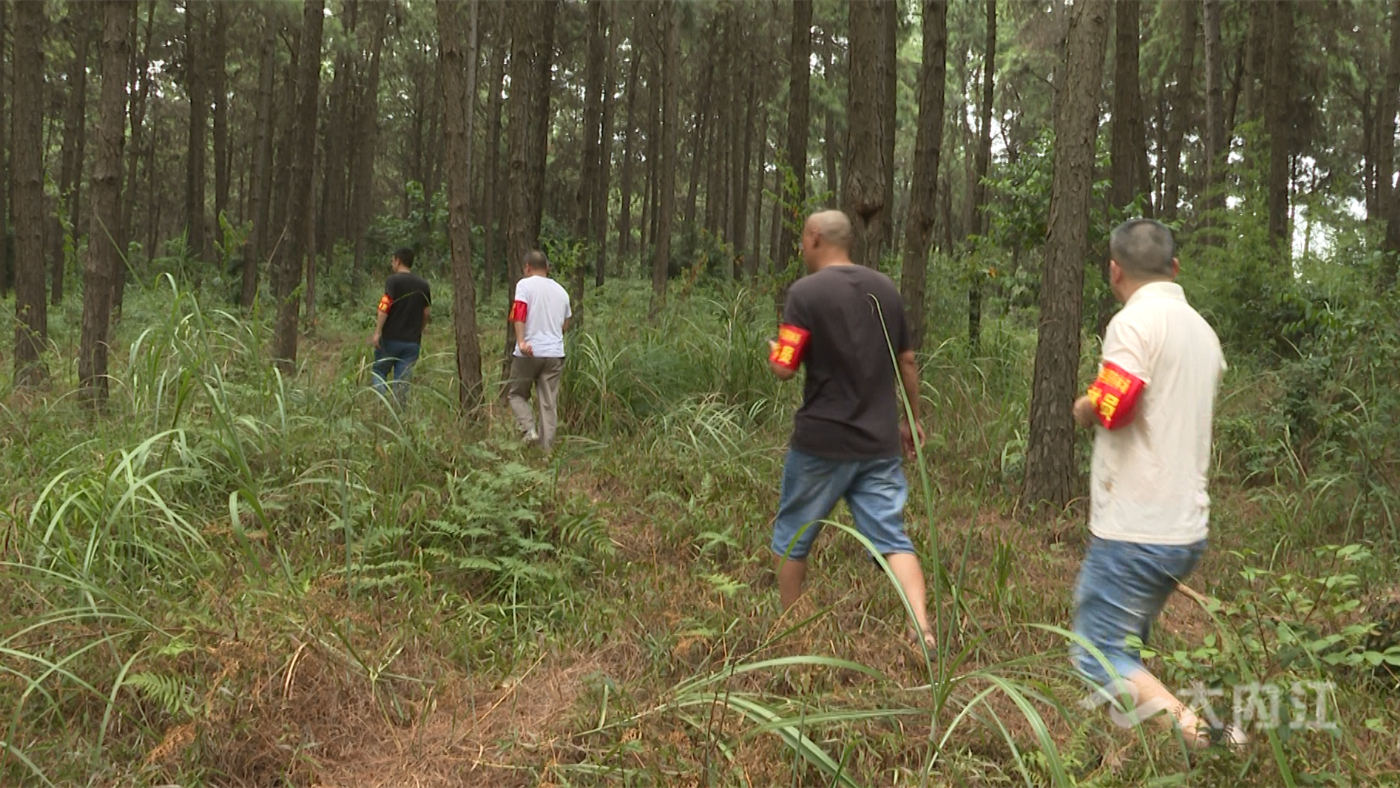 320608_1659406588865788.png 微信图片_20220802101439.png