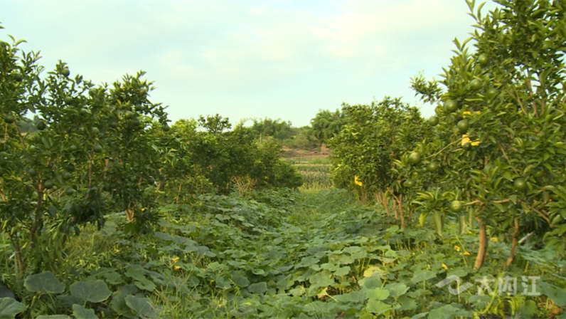 320608_1659427411619773.jpg 微信图片_20220802160308.jpg