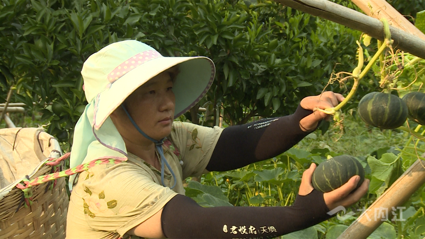 320608_1659427431389953.png 微信图片_20220802160312.png