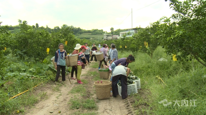 320608_1659427444998294.jpg 微信图片_20220802160258.jpg