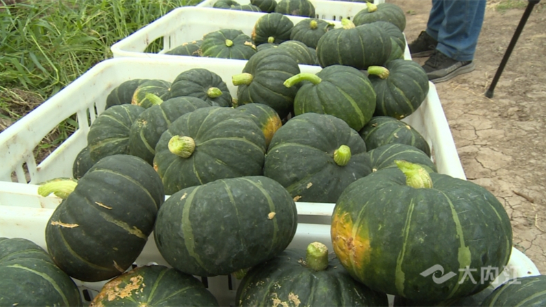 320608_1659427609234310.jpg 微信图片_20220802160304.jpg