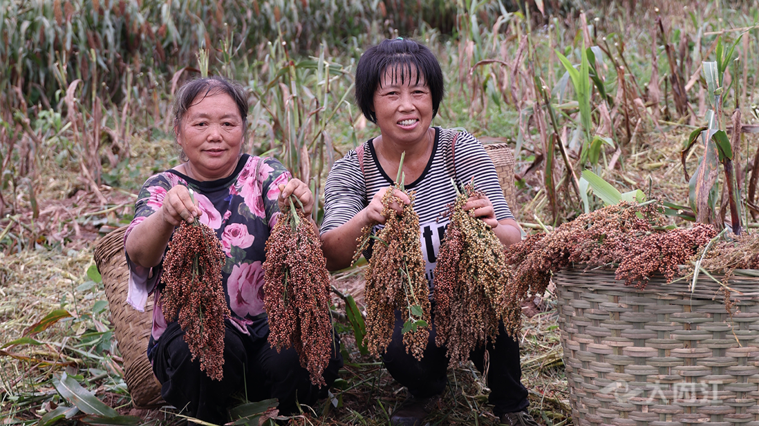 320608_1660012354159969.png 微信截图_20220809103133.png