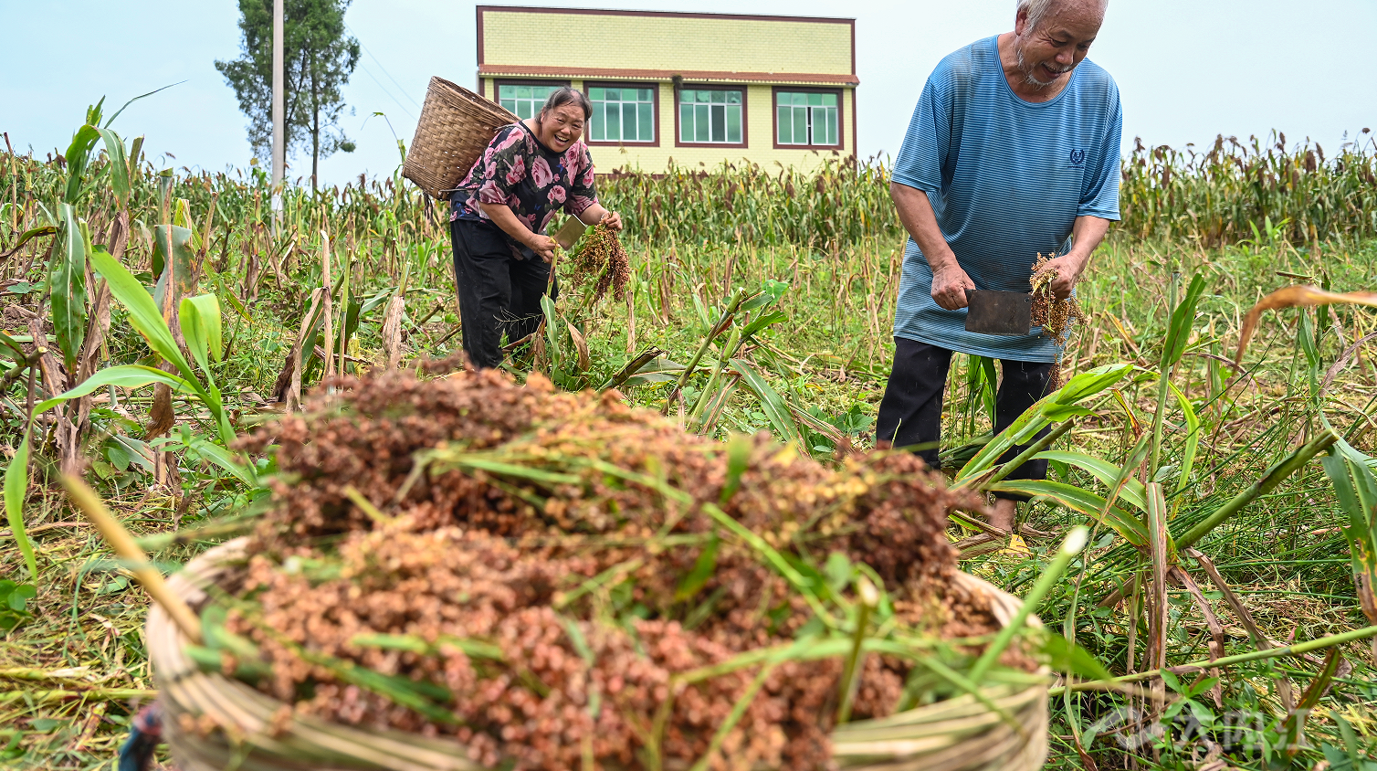 320608_1660012908682977.png 微信截图_20220809104132.png