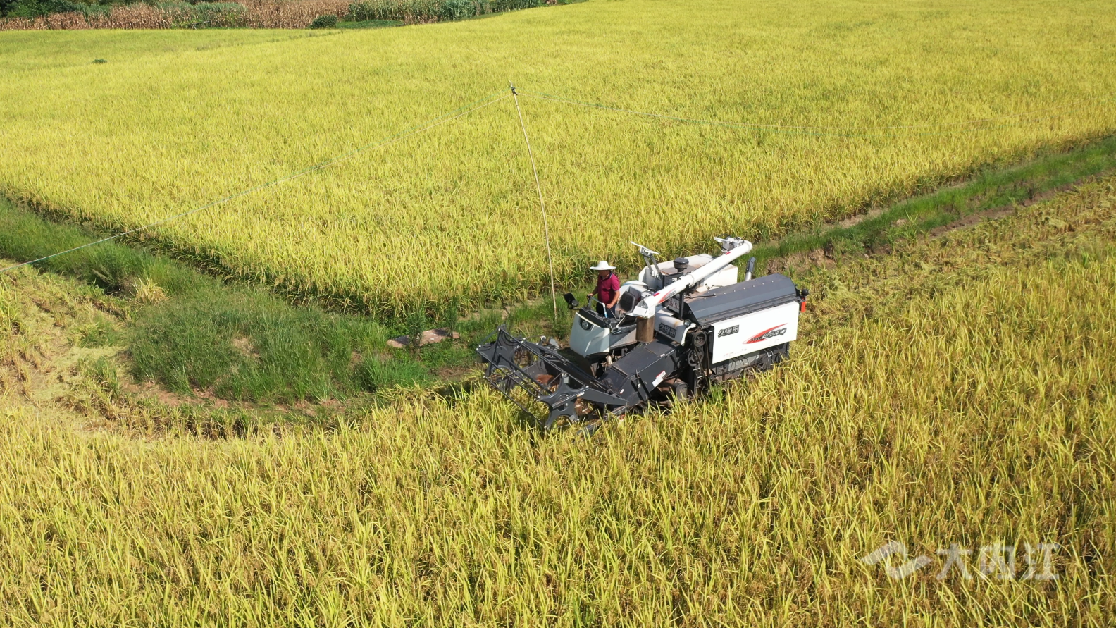 320608_1661330752307706.png 微信图片_20220824164355.png