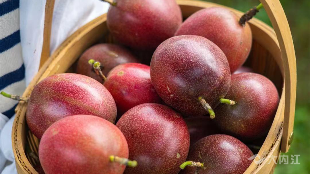 百香果图片 (1).jpg