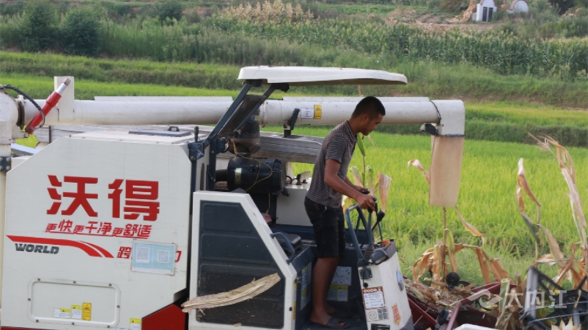 323896_1660116040259362.png 微信图片_20220810151718.png