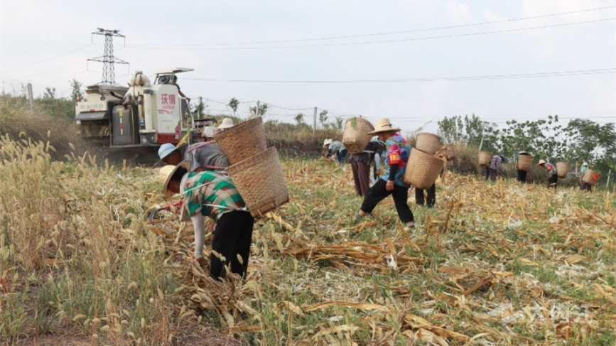 323896_1660116147815246.png 微信图片_20220810151726.png