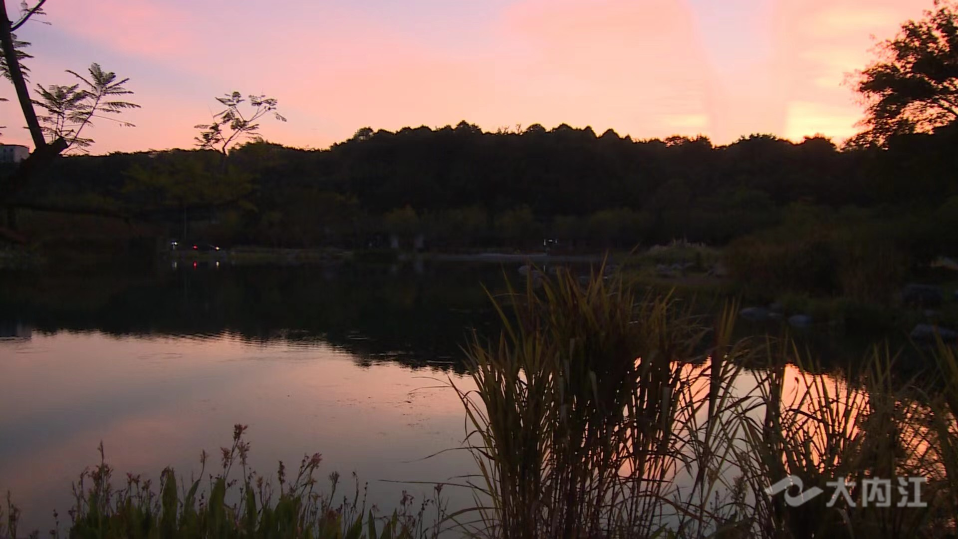 323896_1661161190486119.jpg 微信图片_20220822173902.jpg