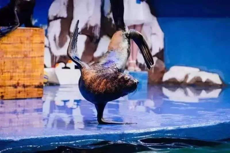 b74c698cb08acd6c109aba4032b80ce.jpg 图片