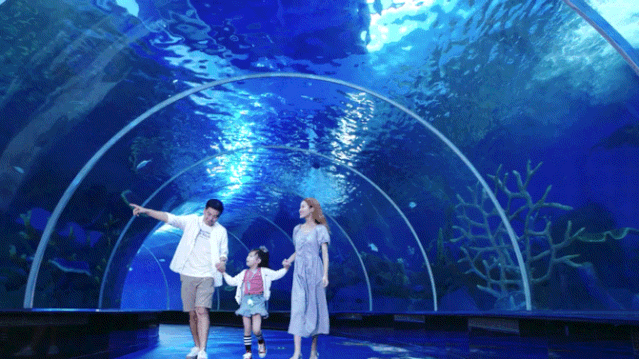 2bc902779dbf40639a4854703529ed68.gif 图片